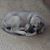 Kimberly Mehall's profile image