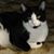 Cindy White-Briskie's profile image