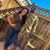 Jasmine Ellison's profile image