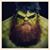 Anthony White's profile image