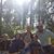 Carola Sarab's profile image