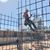 Jeison Curiel's profile image