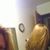 Cynthia Kovacik's profile image