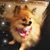 Cindi Wilson's profile image