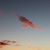 Sheila Sebald's profile image