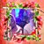 Tarlochan Saini's profile image
