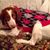Niccole Blodgett's profile image