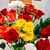 Shrija's Didu's profile image
