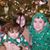 Robin Hoffman Campanale's profile image