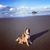 Laura McGaughey's profile image