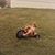 Malinda Hostetter's profile image