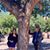 Miriam Sanchez's profile image