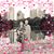 Ginger M Shumate's profile image
