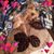 Tami Handt Lamberg's profile image