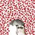 Michele Della Torri's profile image
