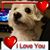 Linda Kulp DiVirgilio's profile image
