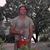 Ron Mara's profile image