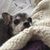 Laura Kelley Baker's profile image