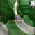 Syeda Talea Imam's profile image
