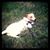 Ramona Tanceusz's profile image