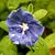 Valerie McCoy Young's profile image