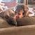 Jane Shaddeau-Hess's profile image