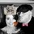 Denise Dean's profile image
