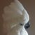 Steve Eberhard's profile image