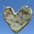 Anne Marie Dushay's profile image