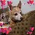 Missy Suddreth's profile image