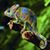 Nicole R Neidlinger-Cooper's profile image