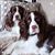 Trish Aichele Hillegas's profile image