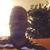 Longmire Ivan's profile image