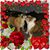 Alberta Valeo's profile image