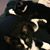 Cindy Safford Poulin's profile image