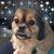 Kay Williams's profile image