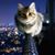Enette Wigginton's profile image