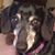 Vicki McKinstry Williams's profile image