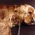 Lauris Canchola's profile image