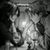 Dhruvil Roxx's profile image