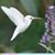 Vickie Jones's profile image