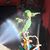 Lori Faber Ahearn's profile image