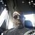 Anthony Bell's profile image