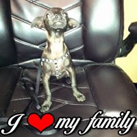 Terri Troise's profile image