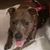 Debbie Sampson's profile image