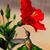 Darlene Russell's profile image