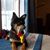 Rita Eash's profile image