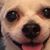 Trish Kazak Hoskins's profile image