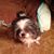 Carol Lester's profile image