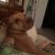Scooby Cutrara's profile image